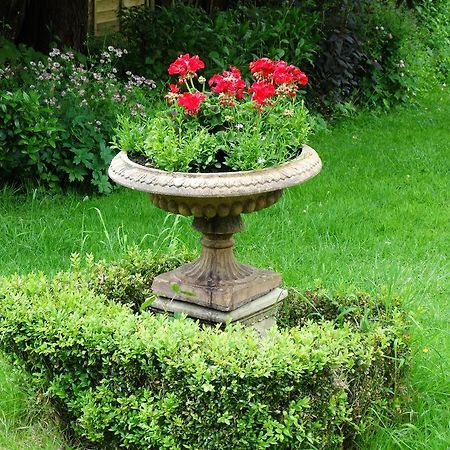 Three Ivy Cross Bed and Breakfast Shaftesbury Buitenkant foto