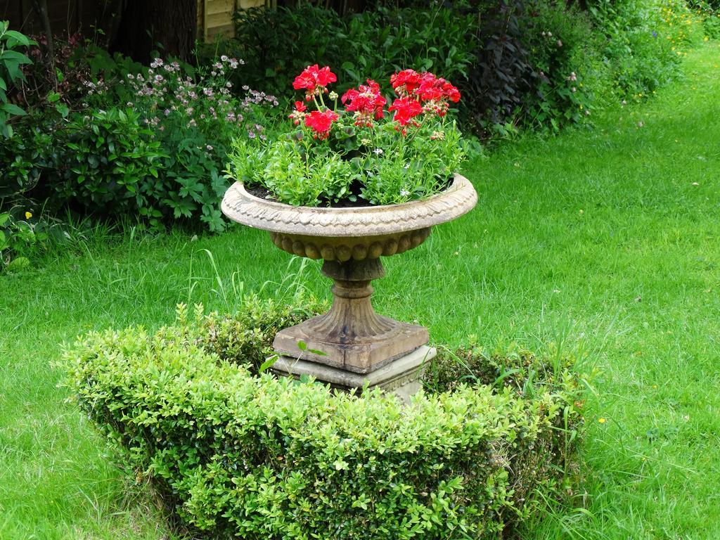 Three Ivy Cross Bed and Breakfast Shaftesbury Buitenkant foto